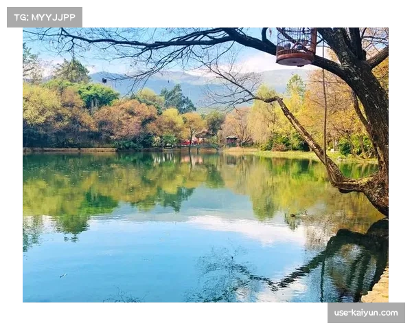 波耶特赛后激动感谢安养神助攻称心情高兴到想要飞起来